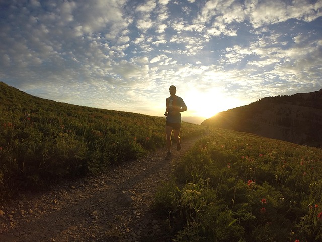 sunrise, running, runner, morning, nature, brown running, brown run