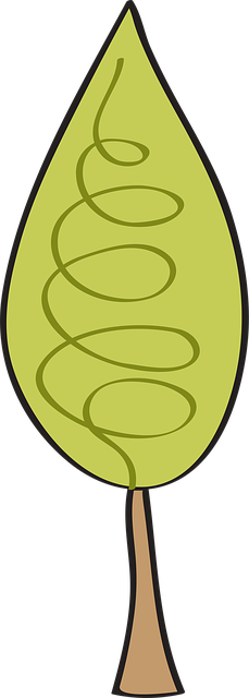 Pine, Groente, Natuur
