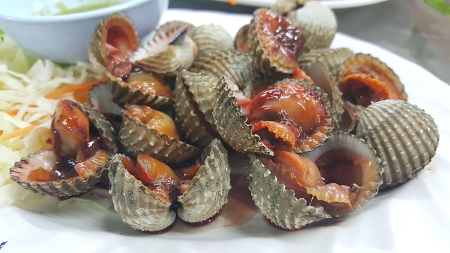 Free Seafood Scallop photo and picture