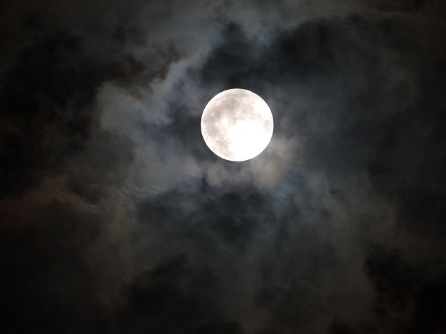 Free Moonlight Moon photo and picture
