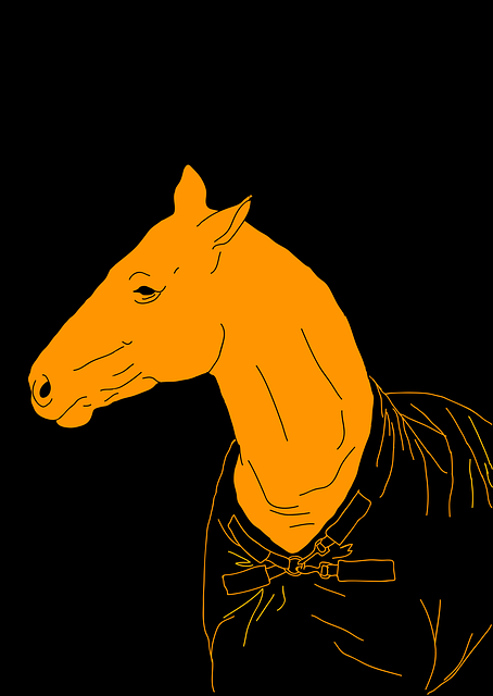 Pferd, Design, Illustrator, Schwarz