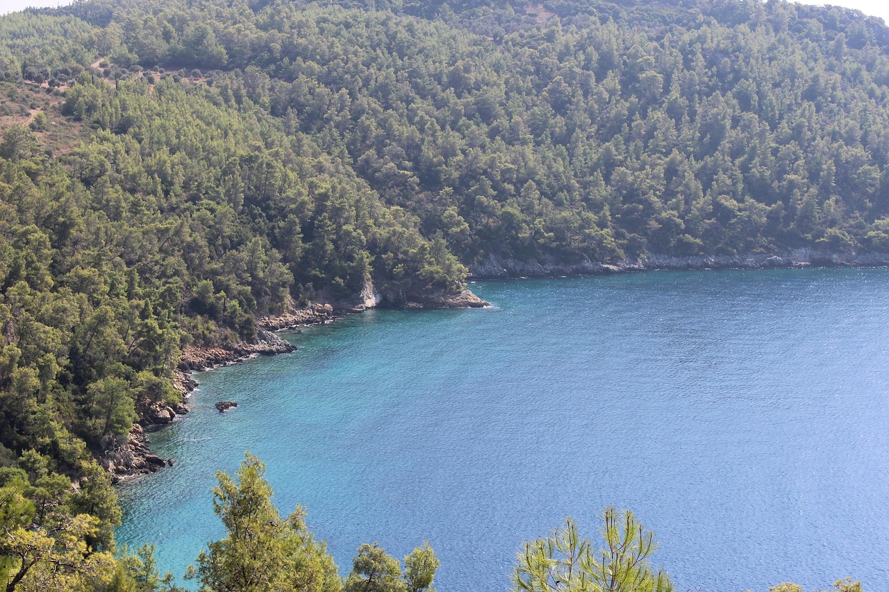 Muğla Akbük Koyu ve çevresindeki yeşil tepeler
