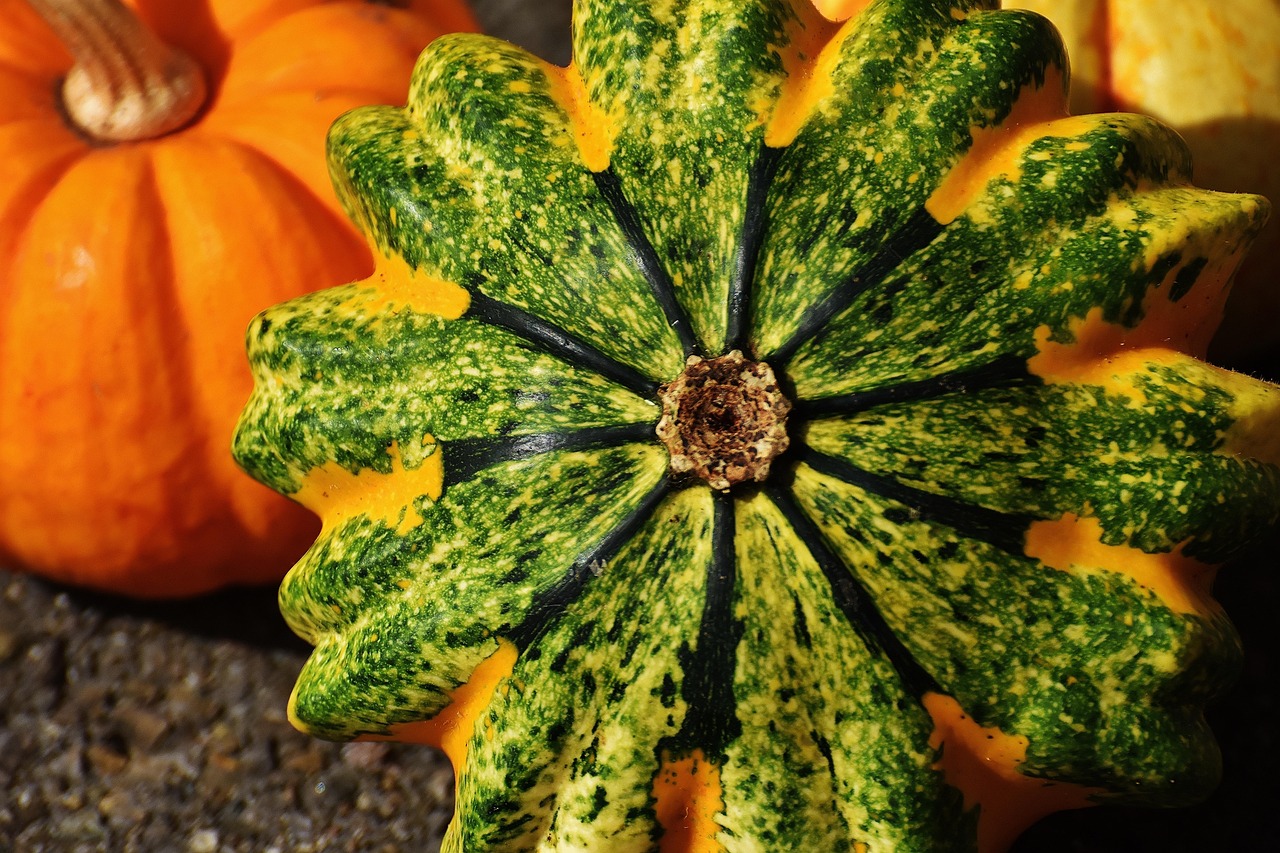 Pumpkins - free online jigsaw puzzle photo