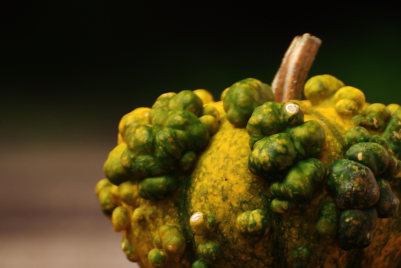 Pumpkins - free online jigsaw puzzle photo