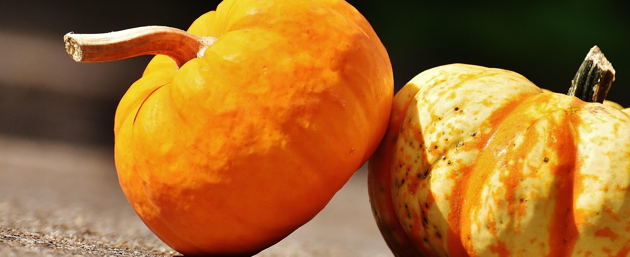 Pumpkins - free online jigsaw puzzle photo