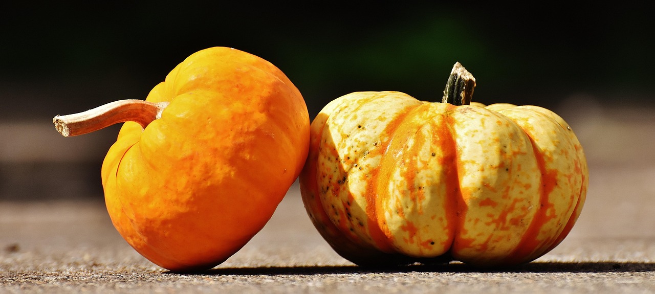 Pumpkins - free online jigsaw puzzle photo