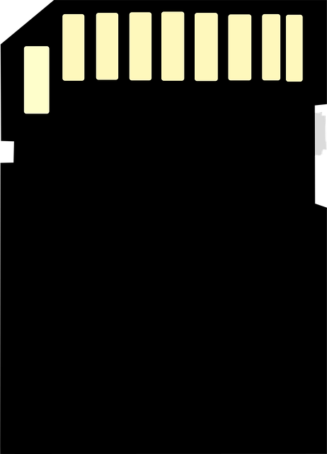 Free memory card data carrier flash memory vector
