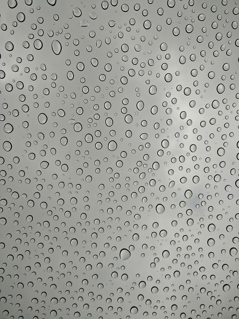 Free Rain Drops photo and picture