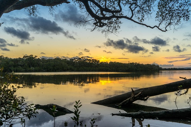 Free Landscape River photo and picture