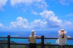 ishigaki island, coral reefs, leaf