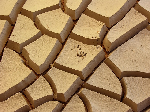 cracked earth, dry, pedro nunes