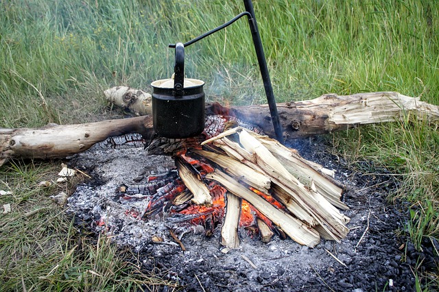 Free Fireplace Wood photo and picture