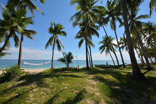 Meer, Palmen, Strand, Urlaub, Insel