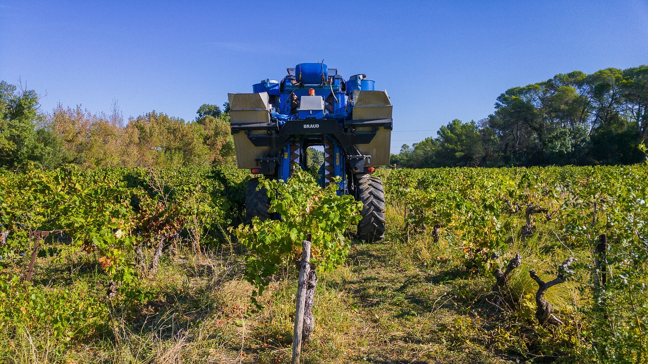 plus-de-200-images-de-vendanges-et-de-vin-pixabay