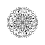 flower, abstract, floral