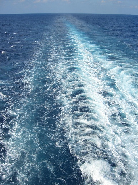 Free Water Ocean photo and picture