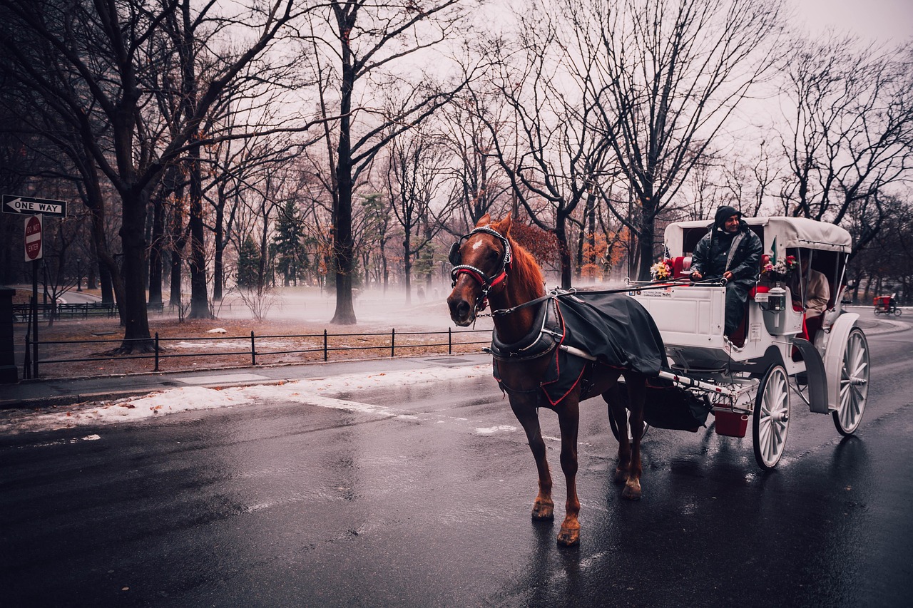 Central Park - free online jigsaw puzzle photo