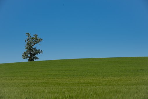 Free Sky Blue photo and picture
