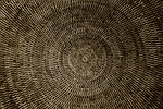 basket, braid, woven