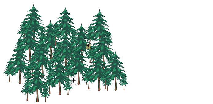 Free Forest Animals illustration and picture