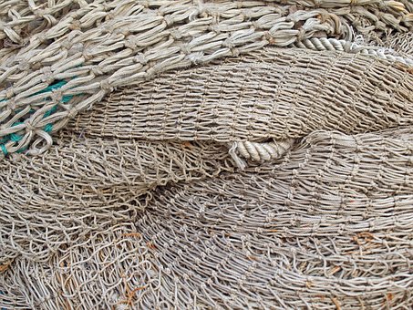 Web, Fiskenet, Fiskeri, Havn, Fisk, Kyst