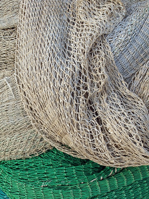 Web, Fiskenet, Fiskeri, Havn, Fisk, Kyst