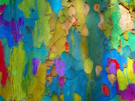 Træ, Bark, Farve, Baggrund, Farvespil