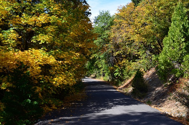 Free Country Road Mountain Highway photo and picture