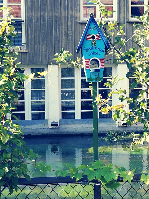 Free Cute Blue photo and picture