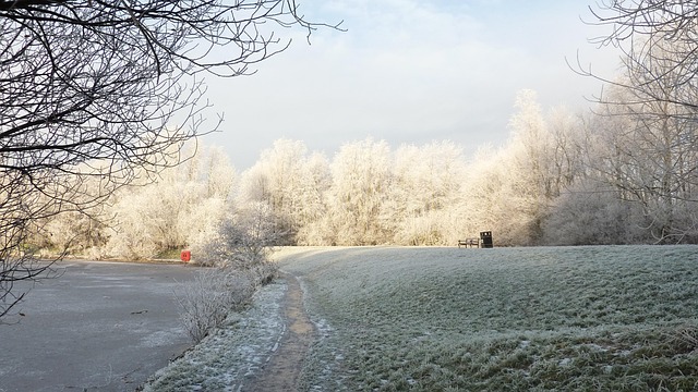 Free Park Path Snow photo and picture
