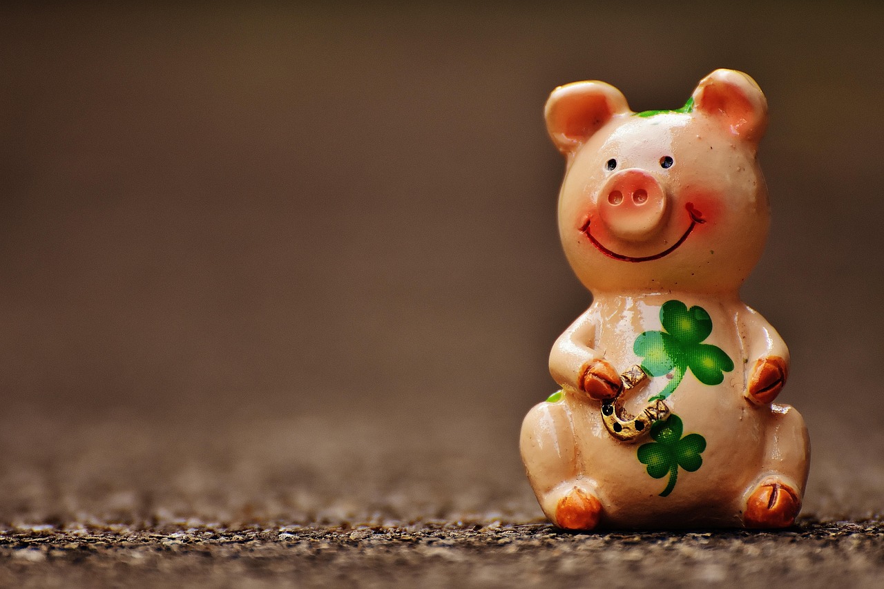 属猪人专属幸运数字，助你开启全年好运