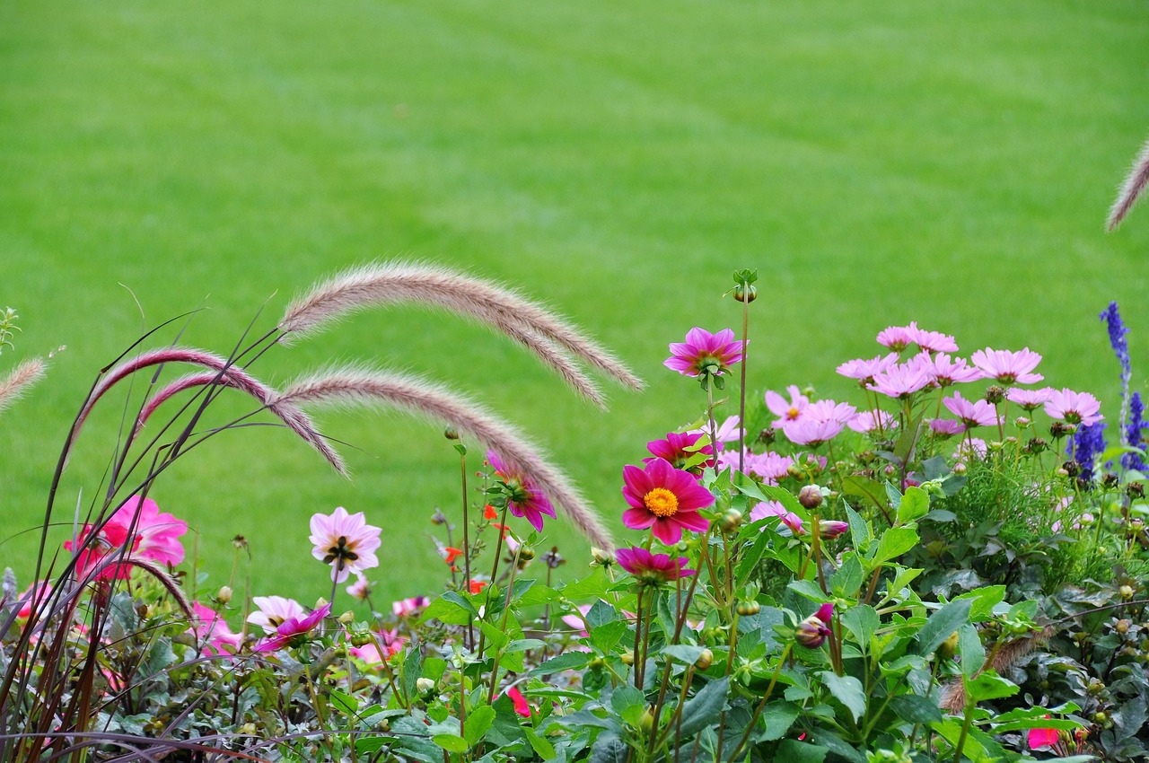 grass-1692610_1280.jpg