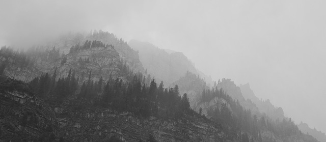 Niebla, Montañas, Árboles, Misterioso