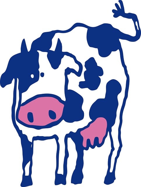 Free Cow Beef illustration and picture