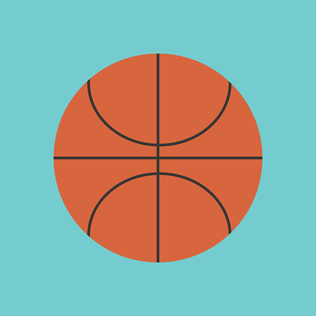 Free ball basketball sport vector
