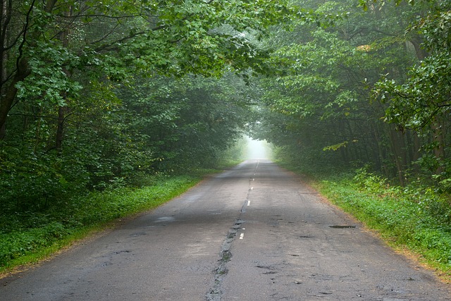 Road, Manier, Beweging, Spoor, Leeg