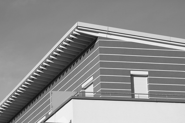 house, building, architecture, modern, facade, penthouse, glass, window, wood, roof, black and white, construction, bar, roof construction, ceiling construction, penthouse, penthouse, penthouse, penthouse, penthouse