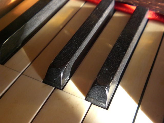Free Piano Keyboard photo and picture