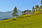 sauris, mountain, tree