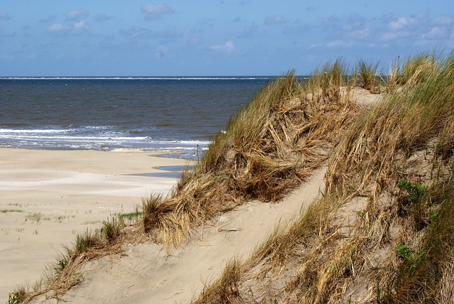 Borkum North Sea Free Photo On Pixabay