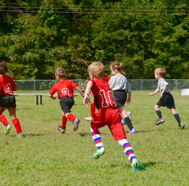 Free Grandson Soccer photo and picture