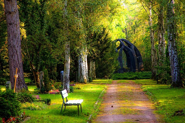 graveyard, forest, tombstones, forest cemetery, quiet, grief, funeral, resting place, nature, silence, tomb, peaceful