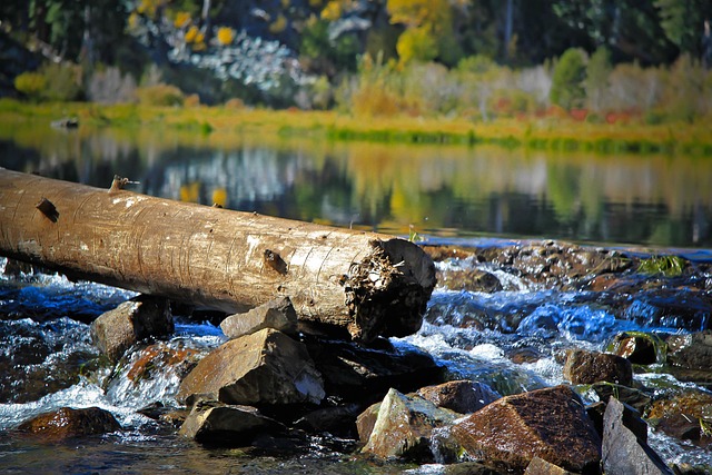 Free Lake Tahoe Water photo and picture