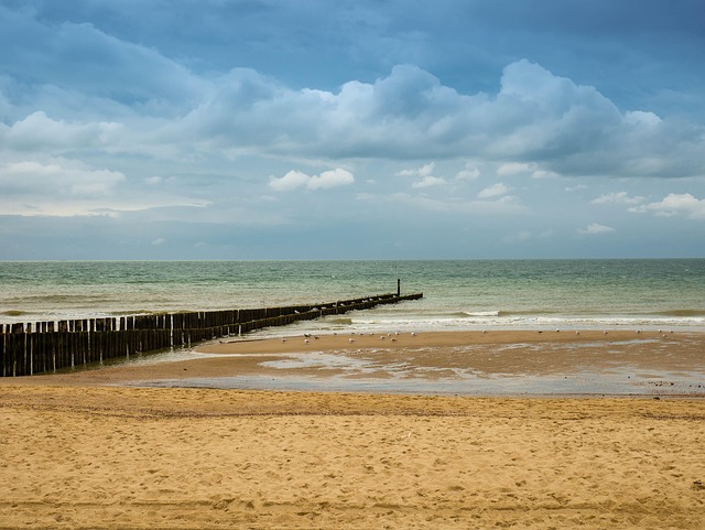 Free Beach Sea photo and picture