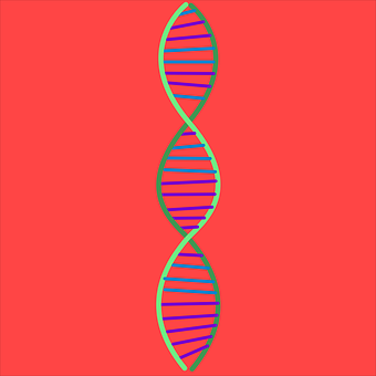 Adn Ul, Ştiinţă, Elice, Genetică