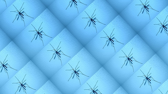 Free spider wall scary illustration