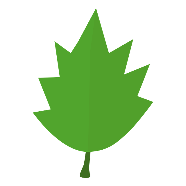 Download free HD stock image of Leaf Tree Free leaf tree fall vector