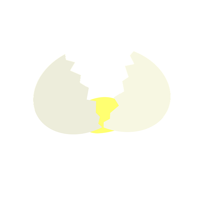 Ei, Zerschlagen, Küche, Huhn, Nahrung