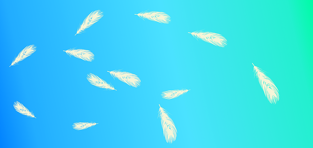 Free the background feather white illustration
