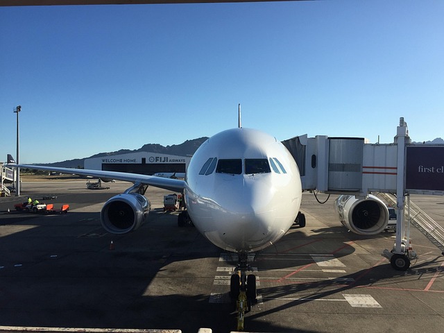 Free Airport Fiji photo and picture